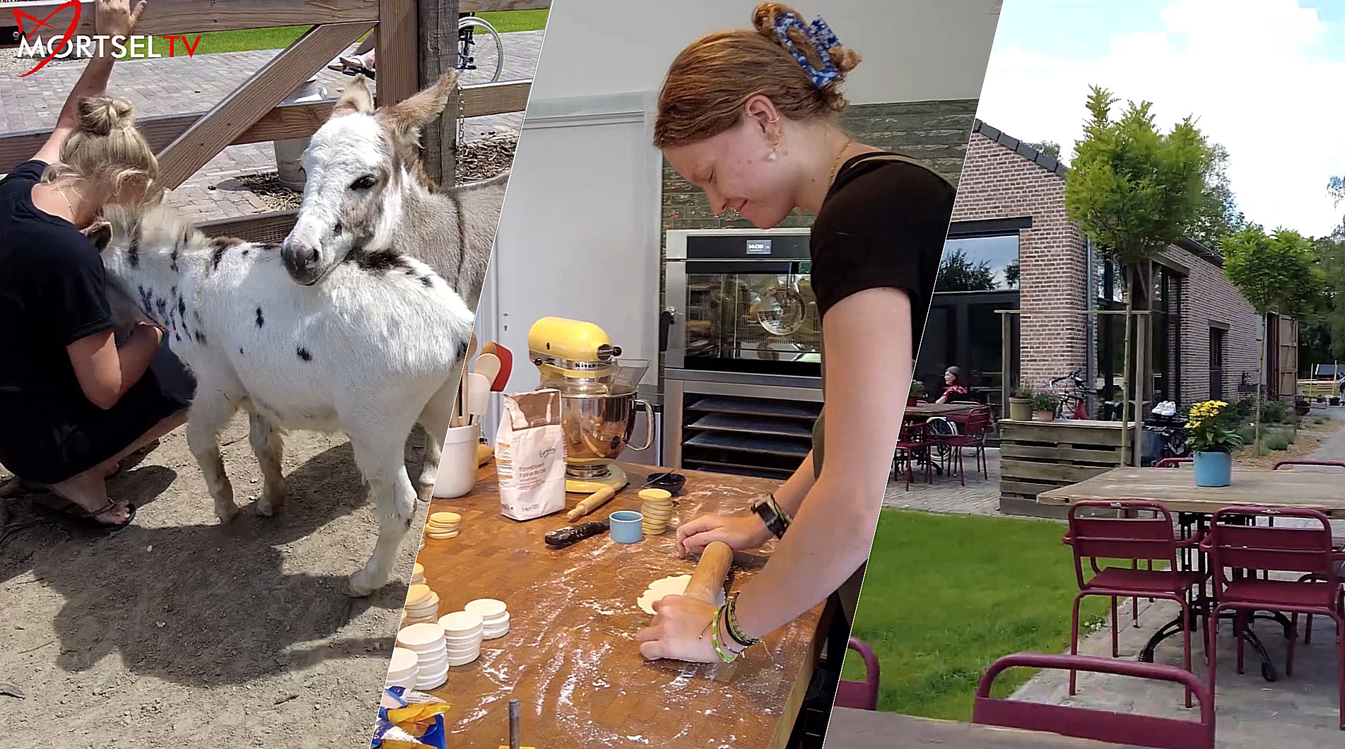 Ontdek de magie van Kinderboerderij “De Zoerderij” in Mortsel