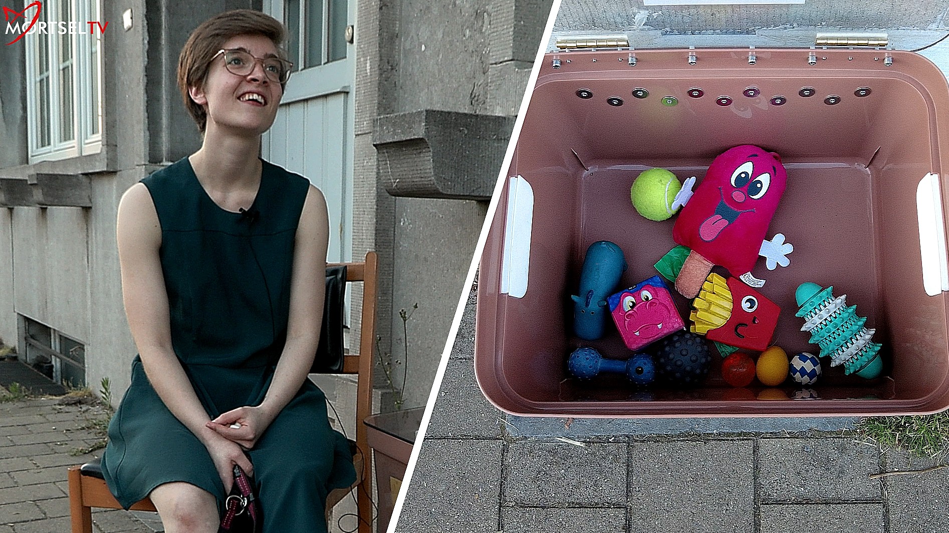 Honden genieten van de eerste bibliotheek speciaal voor hen! 